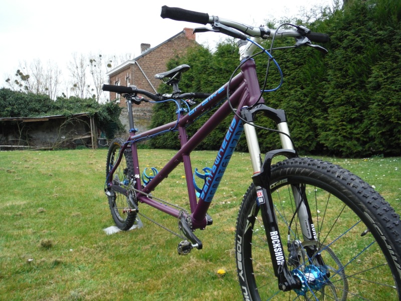 Tandem Bi-Bike by Santawheels (5)
